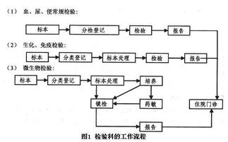 整体检验科设计方案[整体检验科设计方案范文]