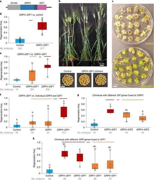 生物再生设计方案[生物再生设计方案有哪些]