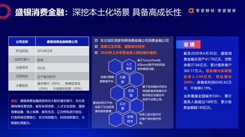 盛金融软件开发,金融软件开发公司