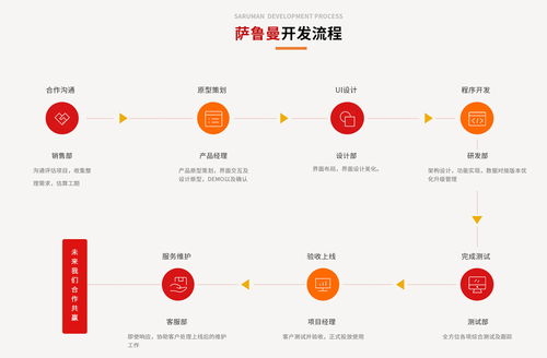 创业软件开发方案,软件创业项目