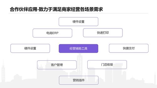 软件开发通选,软件开发者开发软件怎么赚钱