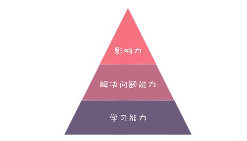 软件开发企业核心能力,软件开发企业核心能力包括