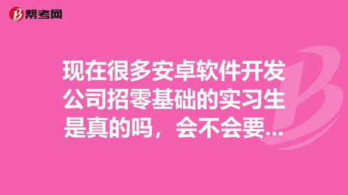 软件开发找实习的软件,软件开发找工作网站