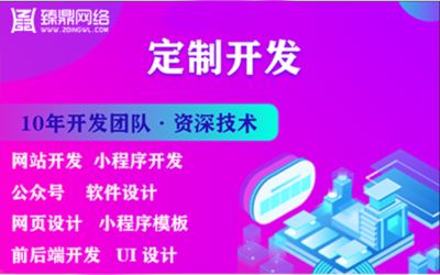 云南专业软件开发外包,云南软件开发培训学校