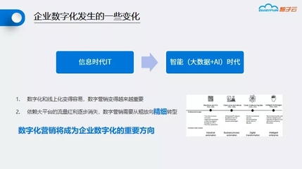 软件开发定制独立部署,软件开发定制独立部署什么意思