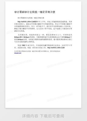 审计署软件开发,审计署信息系统审计