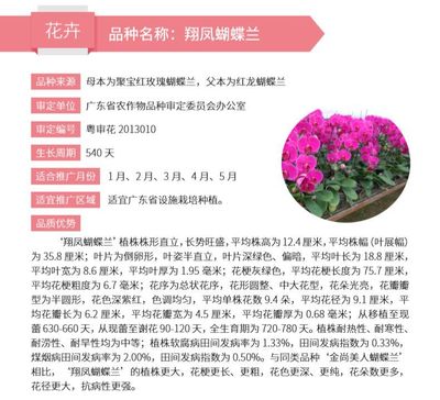 花卉品种软件开发方案,花卉品种软件开发方案设计