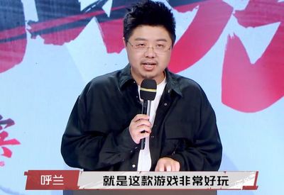 呼兰游戏软件开发,呼兰游戏软件开发有限公司