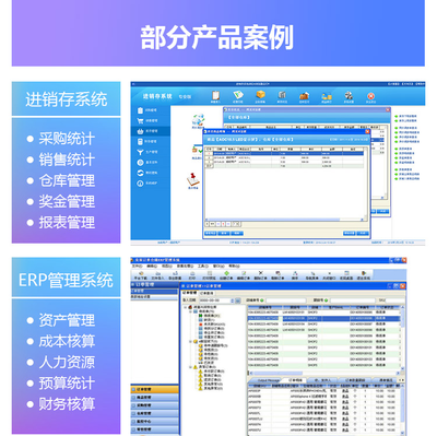 软件开发系统采购,软件产品采购