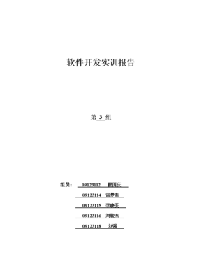 软件开发业务报告,软件开发业务报告怎么写