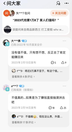 签证代抢软件开发,签证代理是什么