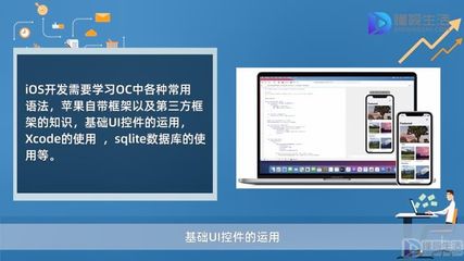 ios软件开发什么语言,开发iosapp用什么语言