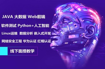 软件开发答辩python,软件开发答辩应该说什么内容