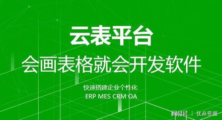 软件开发编程记录表,软件开发项目案例编写