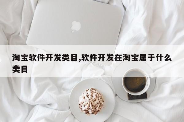 淘宝软件开发类目,软件开发在淘宝属于什么类目