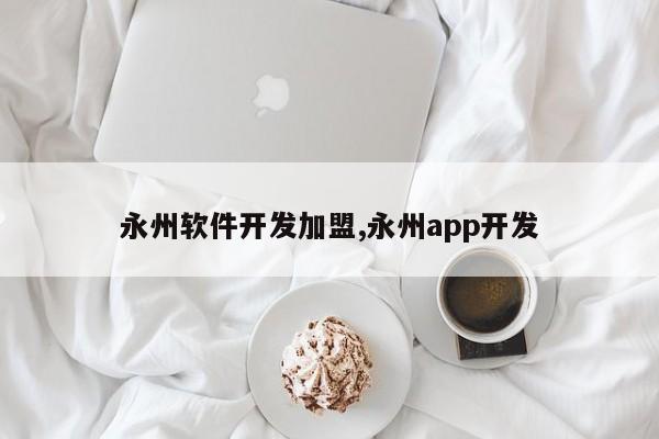 永州软件开发加盟,永州app开发