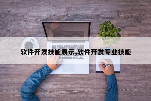 软件开发技能展示,软件开发专业技能