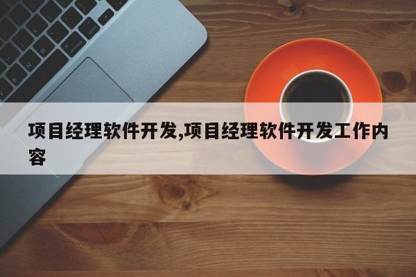 项目经理软件开发,项目经理软件开发工作内容