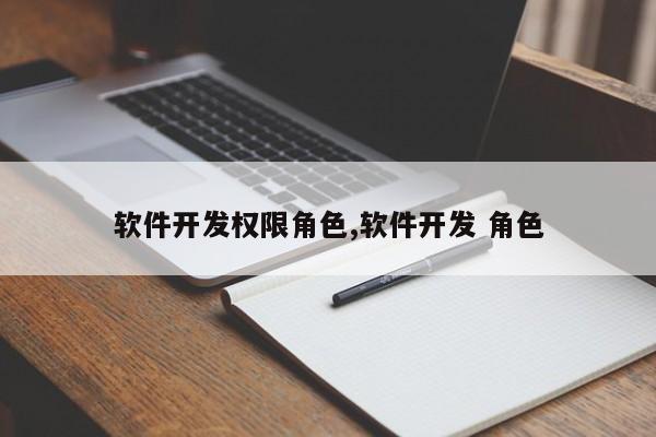 软件开发权限角色,软件开发 角色