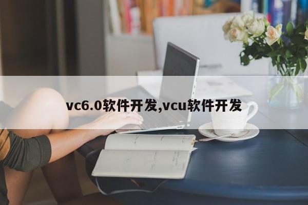 vc6.0软件开发,vcu软件开发