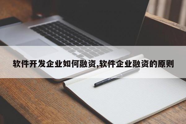 软件开发企业如何融资,软件企业融资的原则