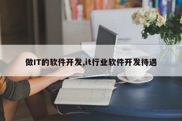 做IT的软件开发,it行业软件开发待遇