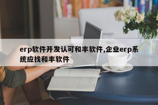 erp软件开发认可和丰软件,企业erp系统应找和丰软件