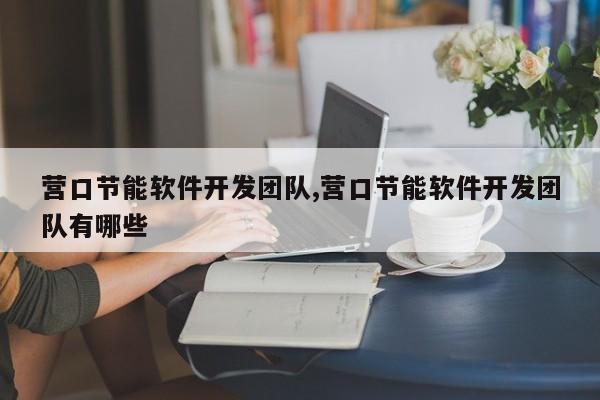 营口节能软件开发团队,营口节能软件开发团队有哪些