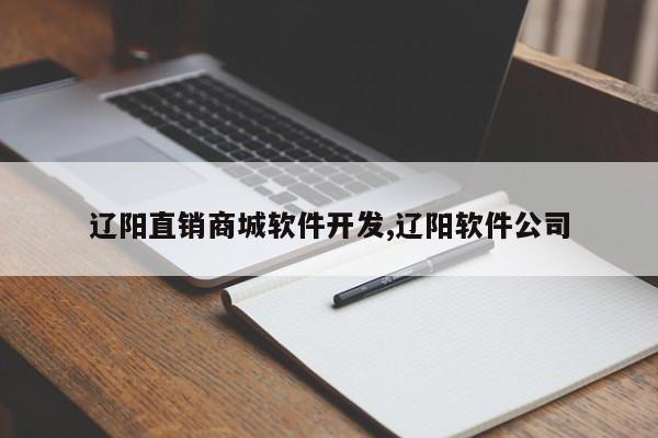 辽阳直销商城软件开发,辽阳软件公司