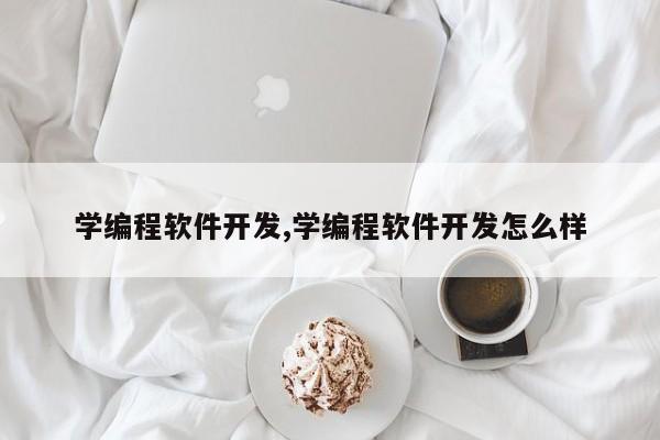 学编程软件开发,学编程软件开发怎么样