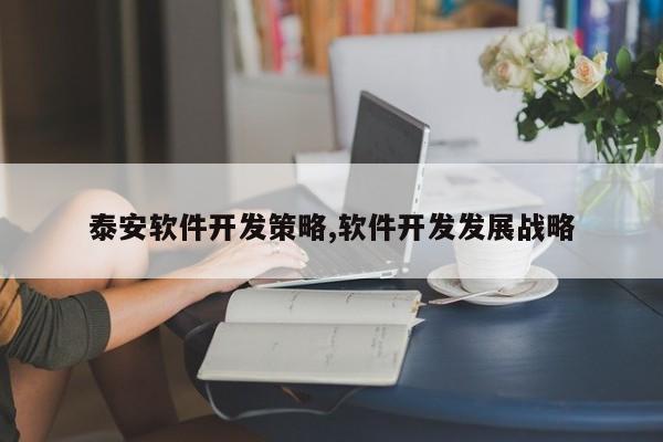 泰安软件开发策略,软件开发发展战略