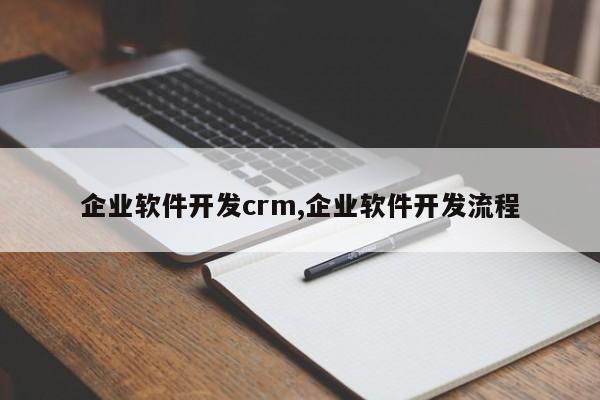 企业软件开发crm,企业软件开发流程