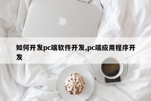 如何开发pc端软件开发,pc端应用程序开发