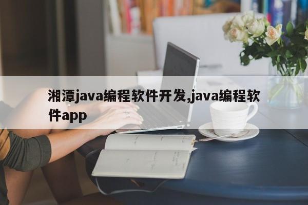 湘潭java编程软件开发,java编程软件app