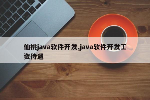 仙桃java软件开发,java软件开发工资待遇