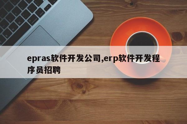 epras软件开发公司,erp软件开发程序员招聘