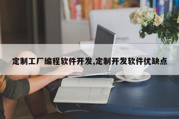 定制工厂编程软件开发,定制开发软件优缺点