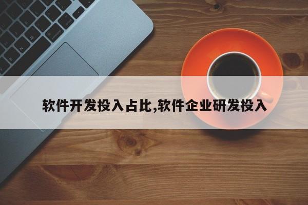 软件开发投入占比,软件企业研发投入