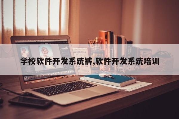 学校软件开发系统裤,软件开发系统培训