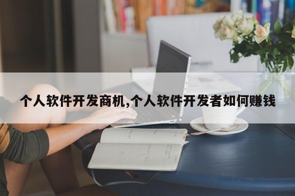 个人软件开发商机,个人软件开发者如何赚钱