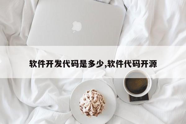 软件开发代码是多少,软件代码开源