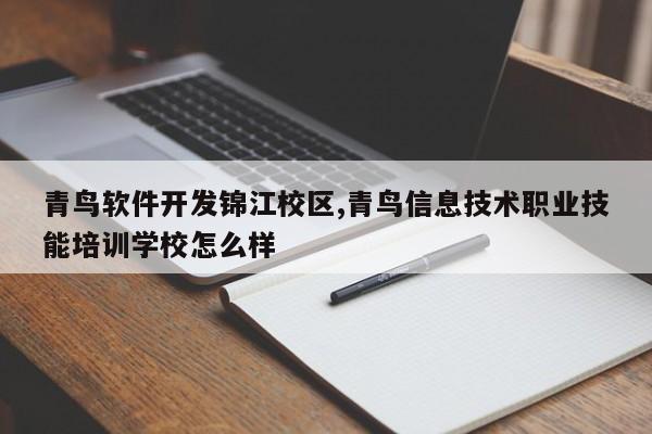 青鸟软件开发锦江校区,青鸟信息技术职业技能培训学校怎么样