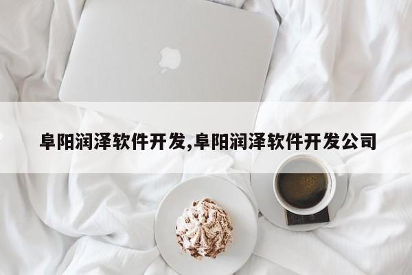 阜阳润泽软件开发,阜阳润泽软件开发公司