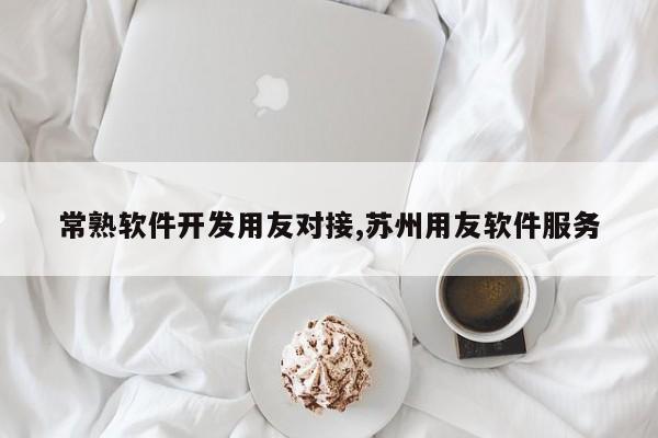 常熟软件开发用友对接,苏州用友软件服务