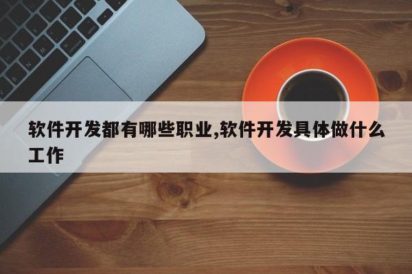 软件开发都有哪些职业,软件开发具体做什么工作