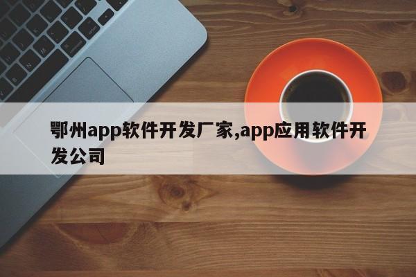 鄂州app软件开发厂家,app应用软件开发公司