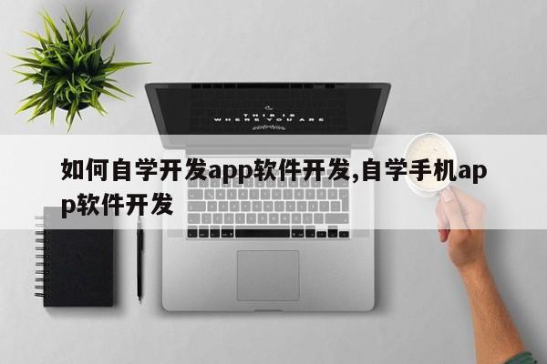 如何自学开发app软件开发,自学手机app软件开发