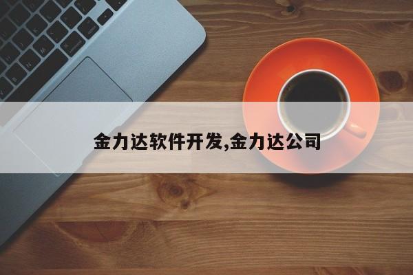 金力达软件开发,金力达公司