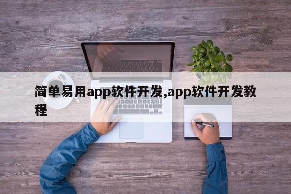 简单易用app软件开发,app软件开发教程